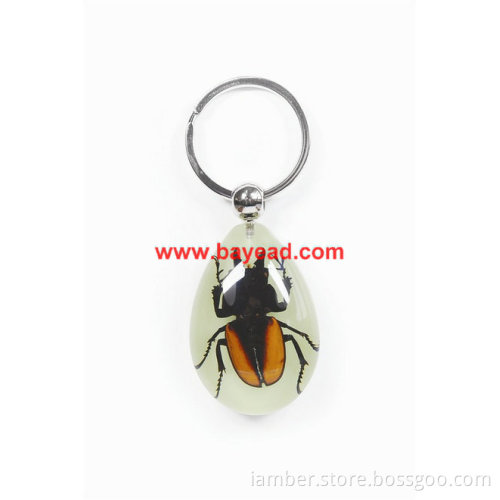 real insect amber keychains,bug keyring,very cool gift